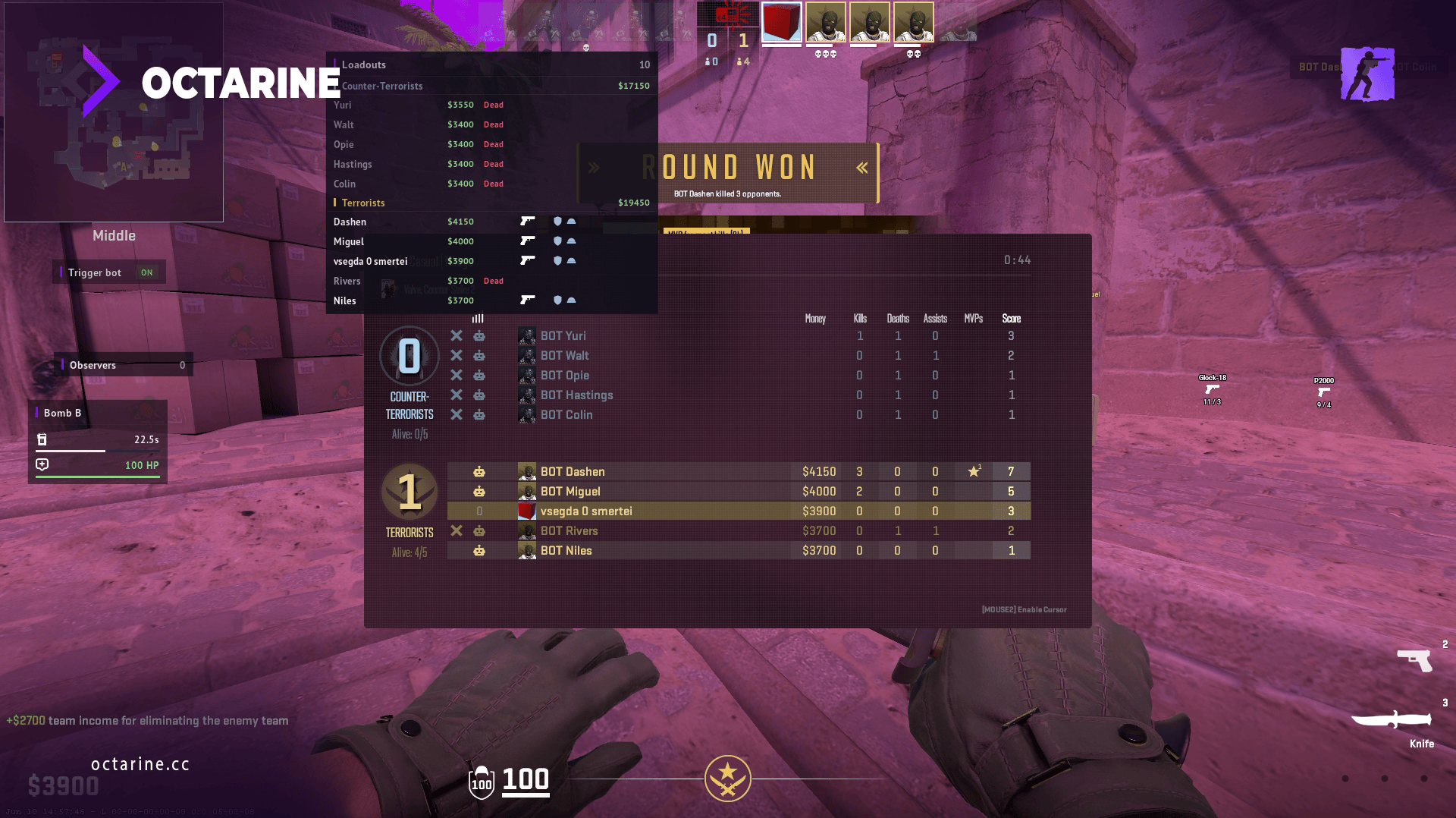 Оверлей Octarine в Counter-Strike 2